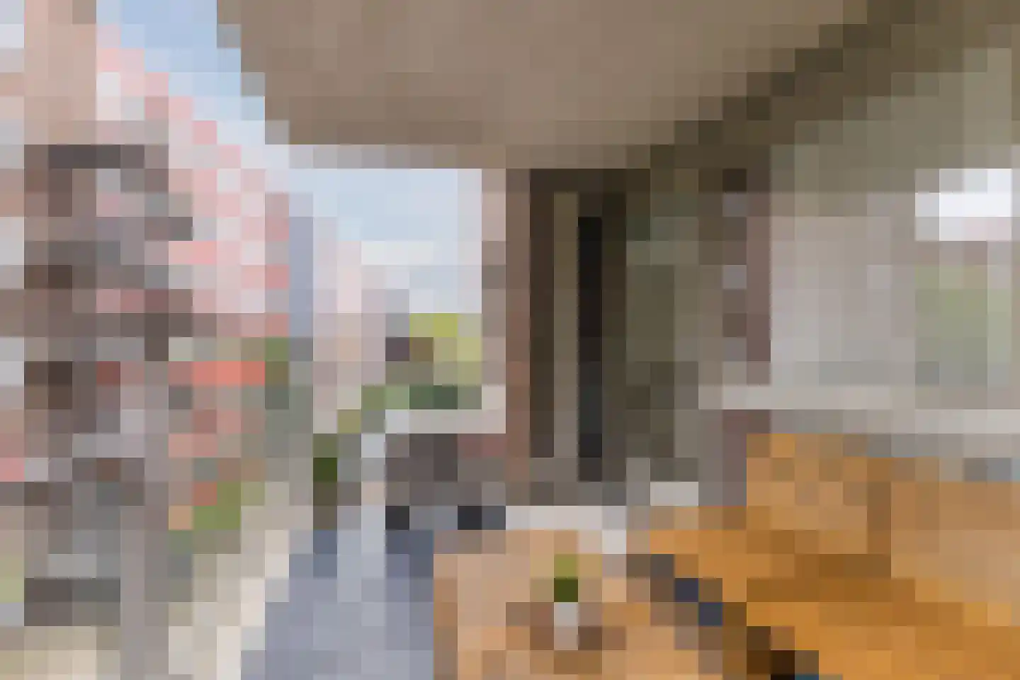 Nieuwe Damlaan 778 Schiedam thumbnail 4