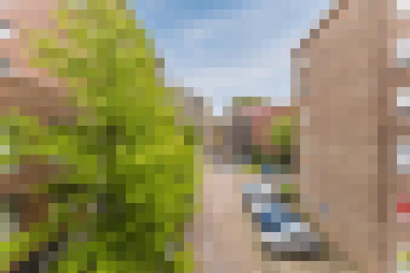 Nieuwe Damlaan 778 Schiedam thumbnail 41