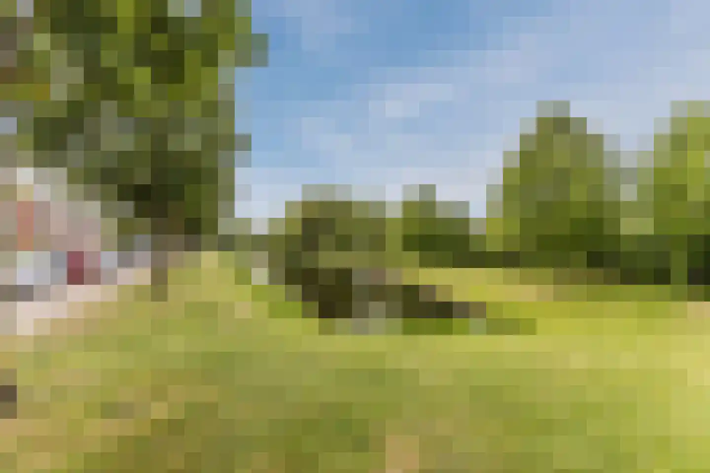Nieuwe Damlaan 778 Schiedam thumbnail 46