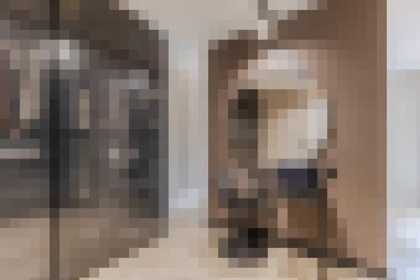 Nieuwe Damlaan 778 Schiedam thumbnail 5