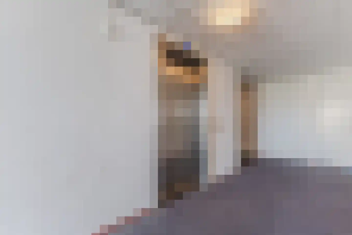 Nieuwe Damlaan 778 Schiedam thumbnail 8