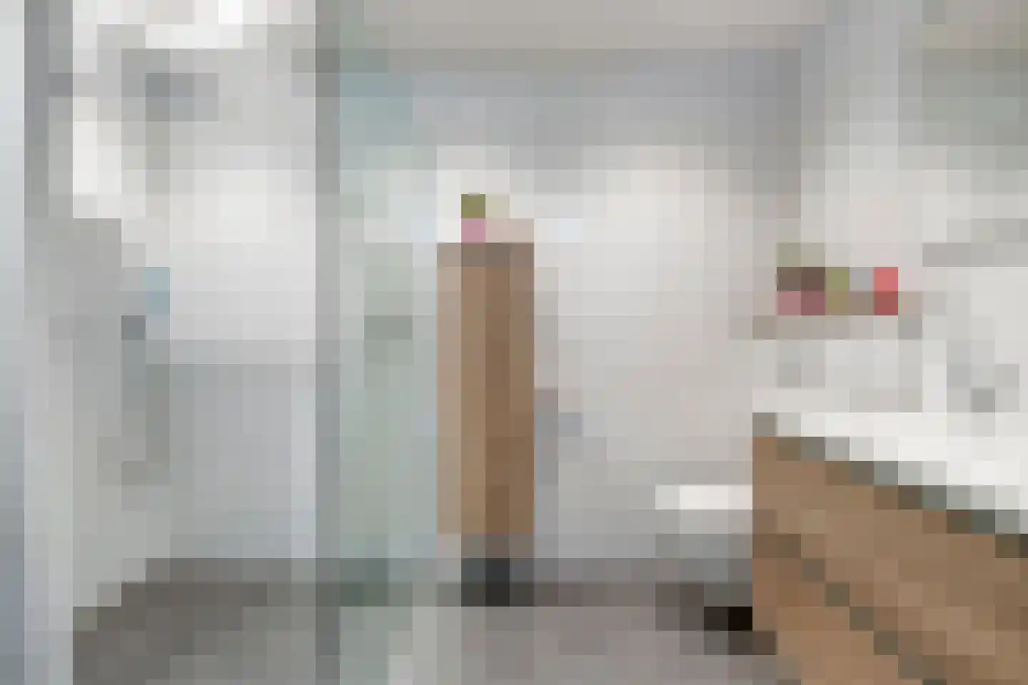 Nieuwe Damlaan 788 Schiedam thumbnail 11