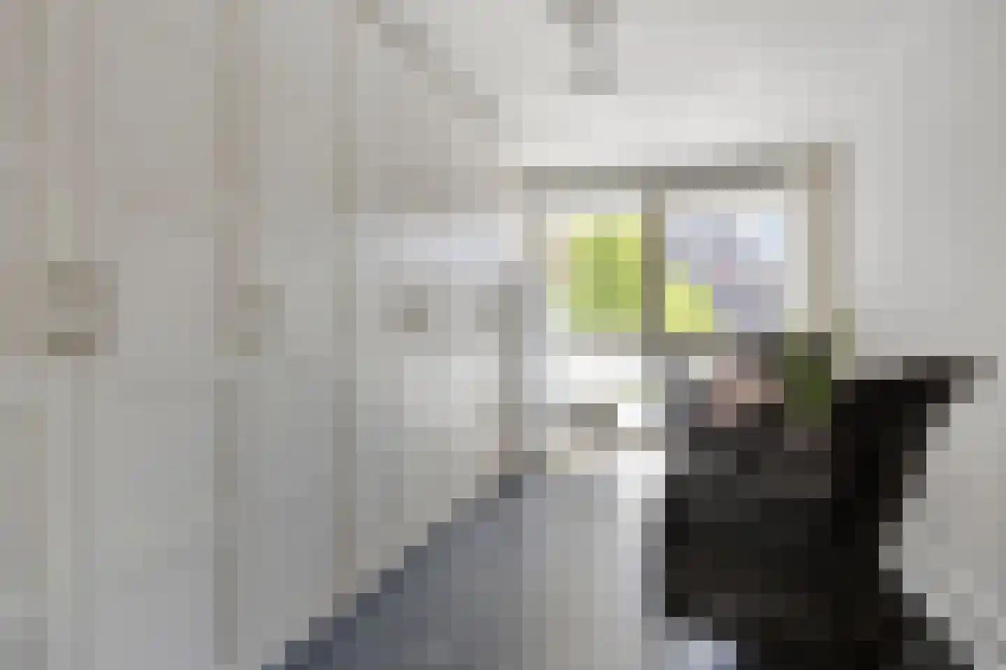Nieuwe Damlaan 788 Schiedam thumbnail 15