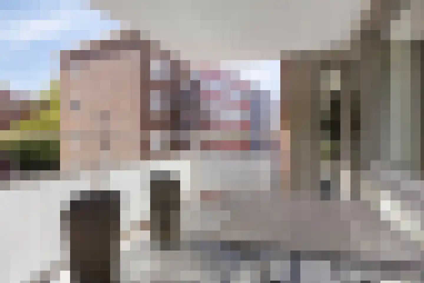 Nieuwe Damlaan 788 Schiedam thumbnail 19