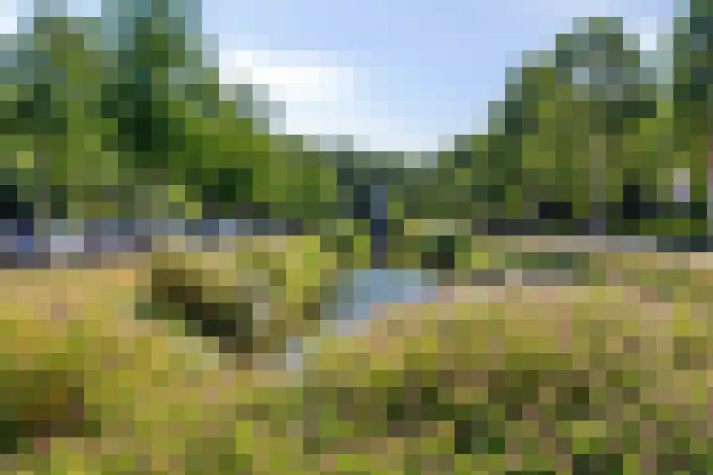 Nieuwe Damlaan 788 Schiedam thumbnail 26