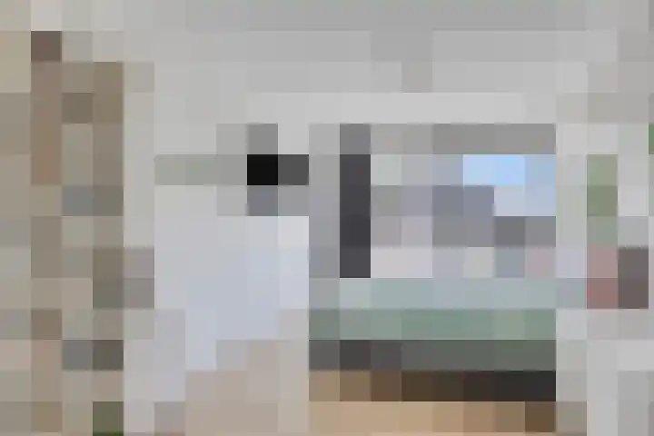 Nieuwe Damlaan 812 Schiedam thumbnail 16