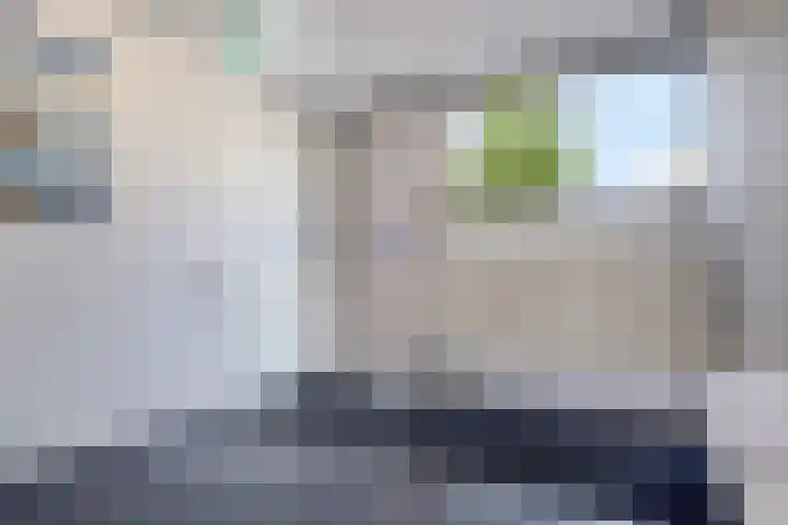 Nieuwe Damlaan 812 Schiedam thumbnail 21