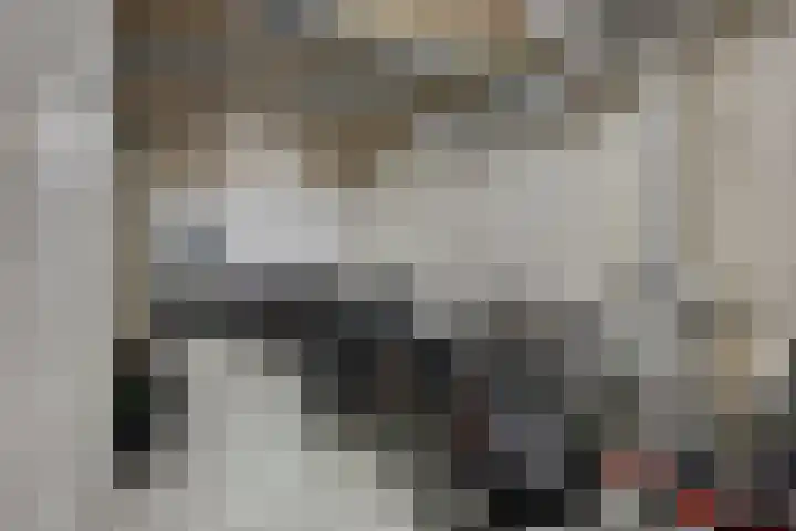Nieuwe Damlaan 812 Schiedam thumbnail 23