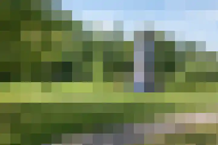 Nieuwe Damlaan 812 Schiedam thumbnail 25