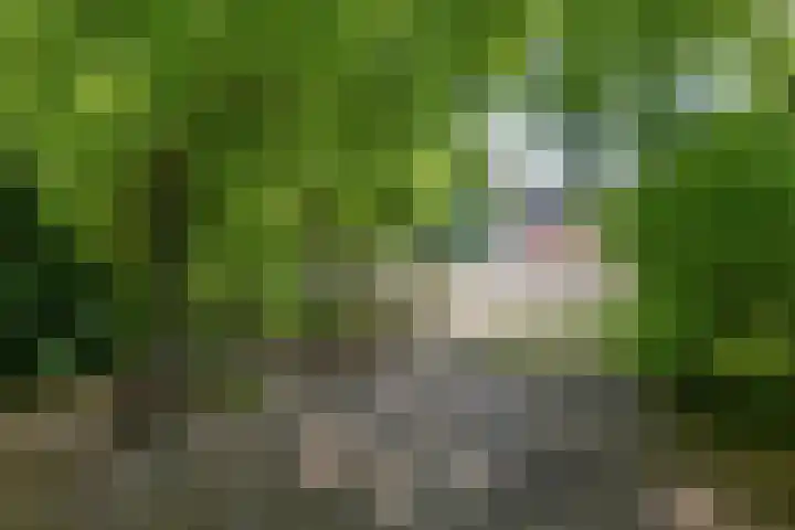 Nieuwe Damlaan 812 Schiedam thumbnail 26