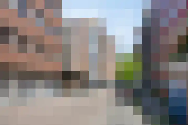 Nieuwe Damlaan 812 Schiedam thumbnail 29