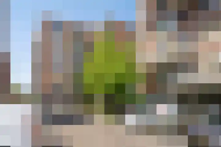 Nieuwe Damlaan 812 Schiedam thumbnail 30