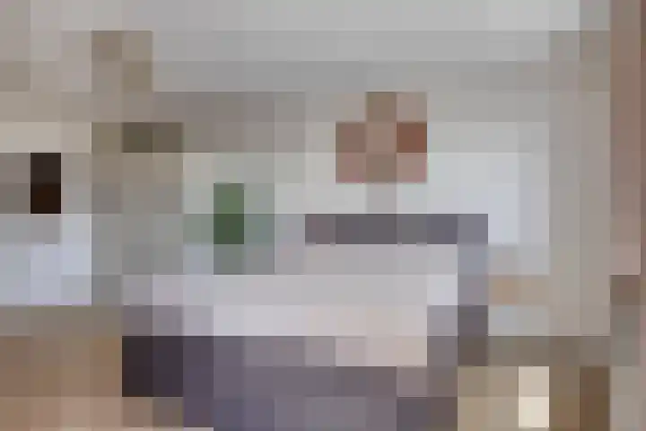 Nieuwe Damlaan 812 Schiedam thumbnail 38