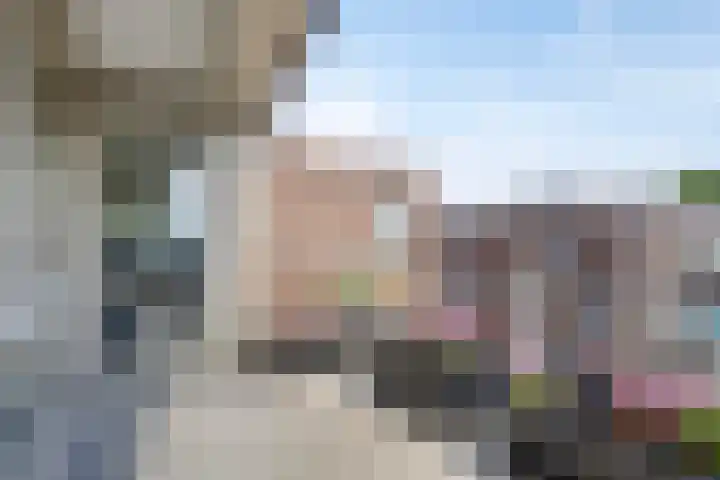 Nieuwe Damlaan 812 Schiedam thumbnail 4