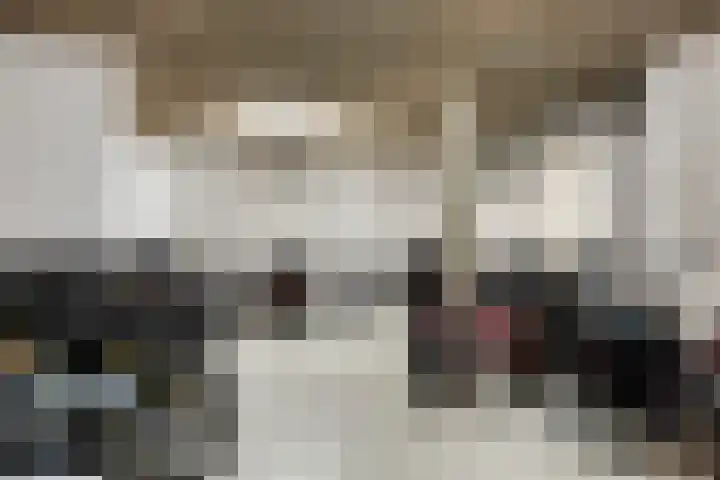 Nieuwe Damlaan 812 Schiedam thumbnail 41