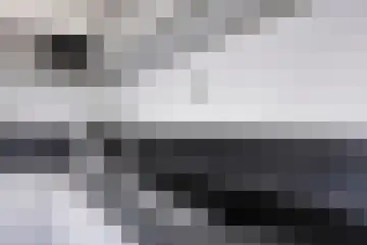 Nieuwe Damlaan 812 Schiedam thumbnail 9