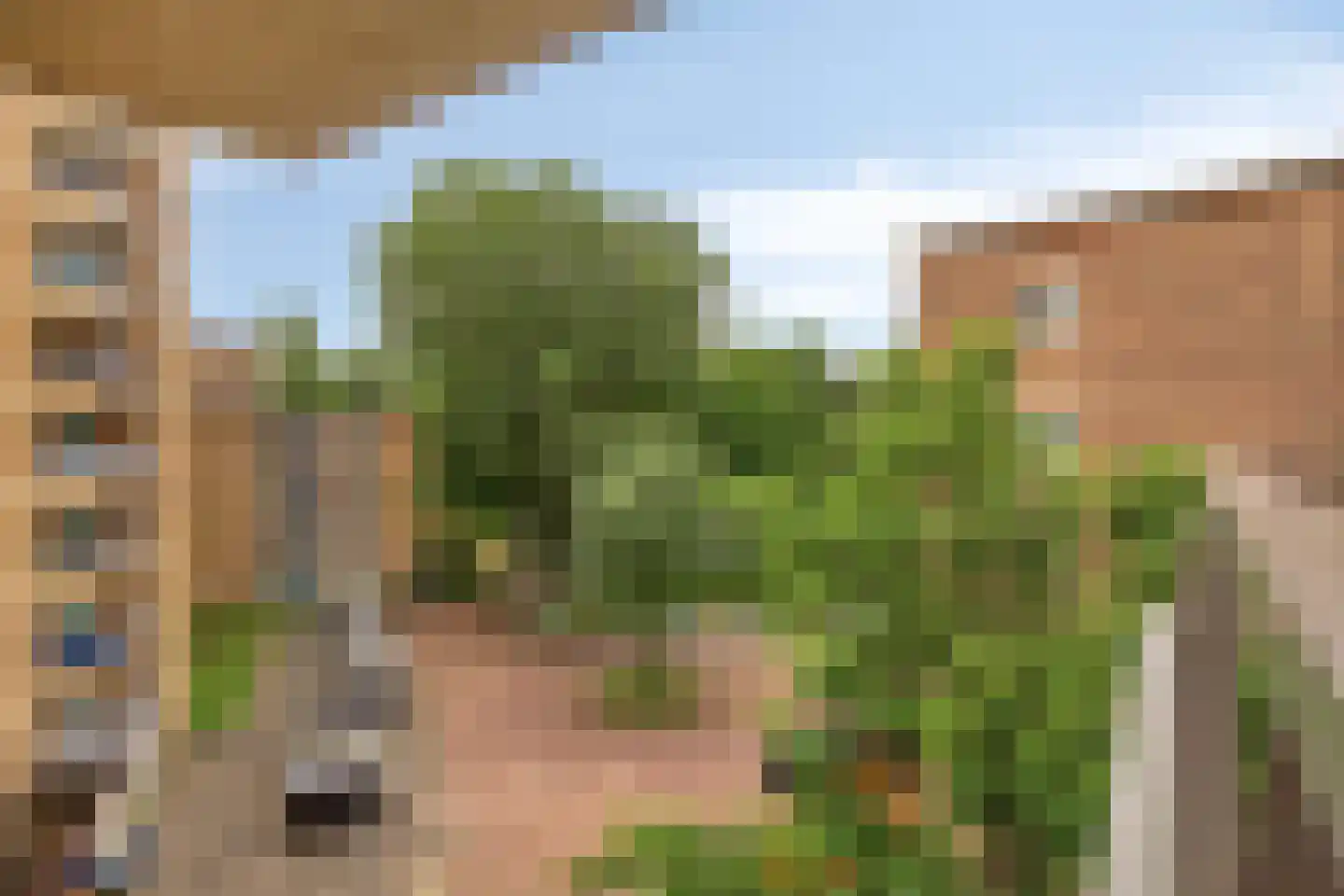 Nieuwe Damlaan 878 Schiedam thumbnail 15