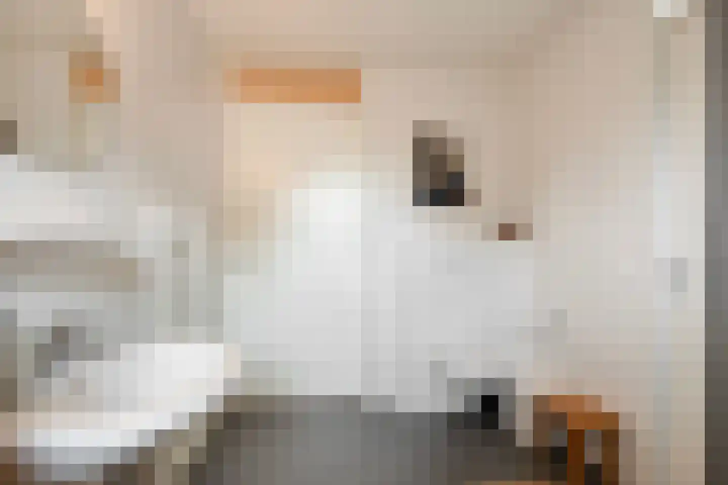 Nieuwe Damlaan 878 Schiedam thumbnail 21