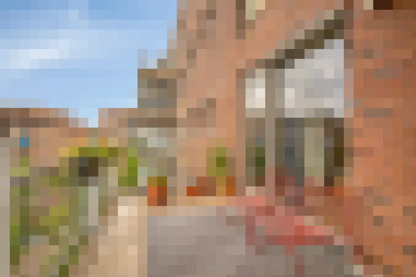 Nieuwe Damlaan 878 Schiedam foto 3