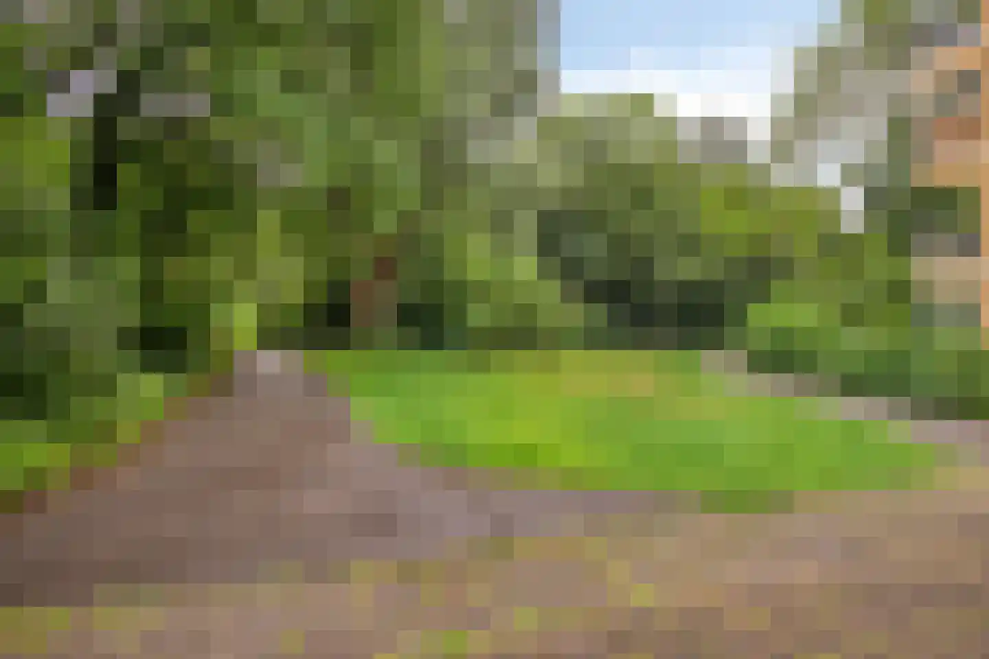 Nieuwe Damlaan 878 Schiedam thumbnail 31