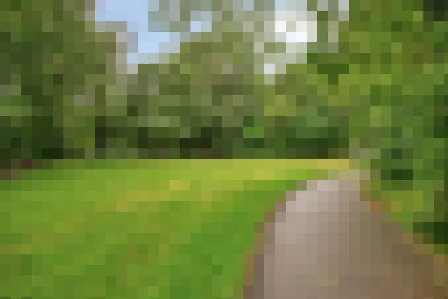 Nieuwe Damlaan 878 Schiedam thumbnail 32