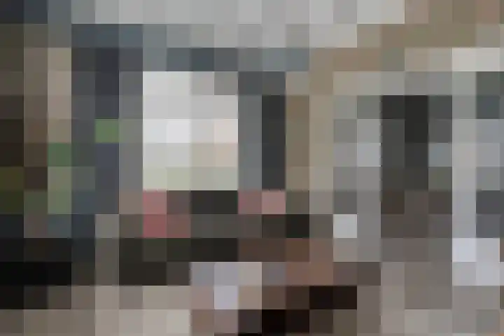Nieuwe Deventerweg 25 Raalte thumbnail 11