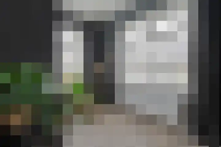 Nieuwe Deventerweg 25 Raalte thumbnail 12