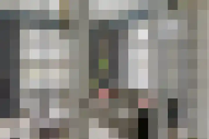 Nieuwe Deventerweg 25 Raalte thumbnail 14