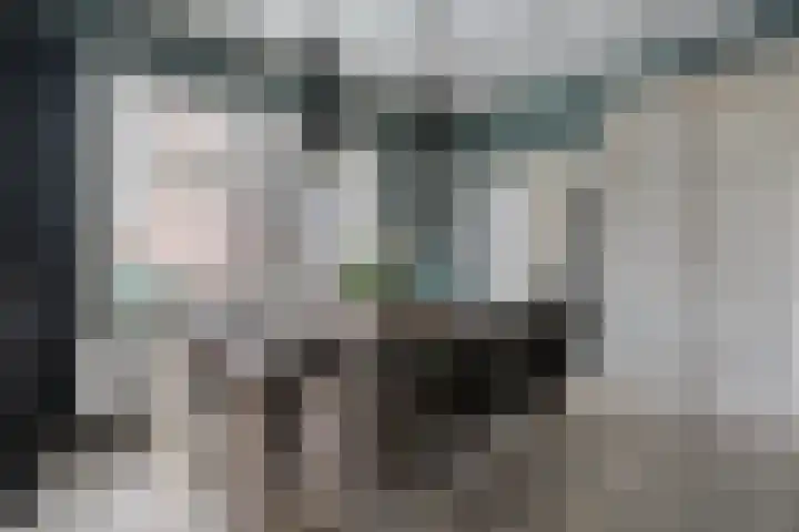 Nieuwe Deventerweg 25 Raalte thumbnail 15