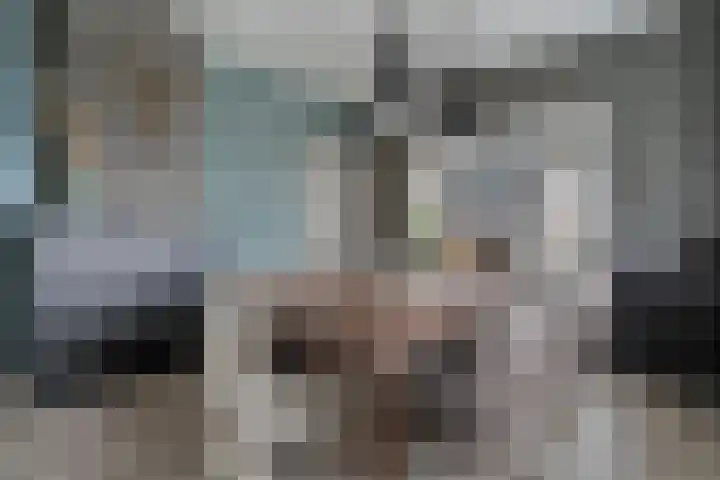 Nieuwe Deventerweg 25 Raalte thumbnail 16