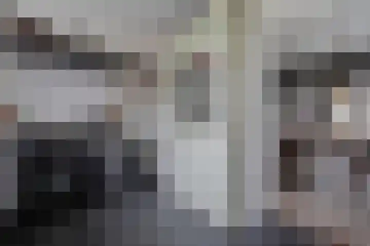 Nieuwe Deventerweg 25 Raalte thumbnail 18