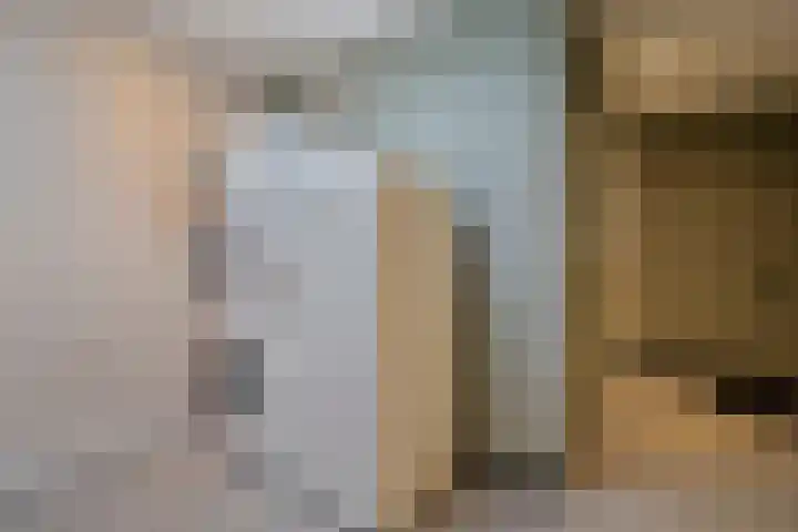 Nieuwe Deventerweg 25 Raalte thumbnail 20