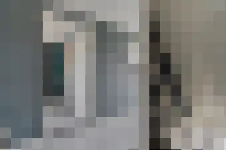 Nieuwe Deventerweg 25 Raalte thumbnail 29