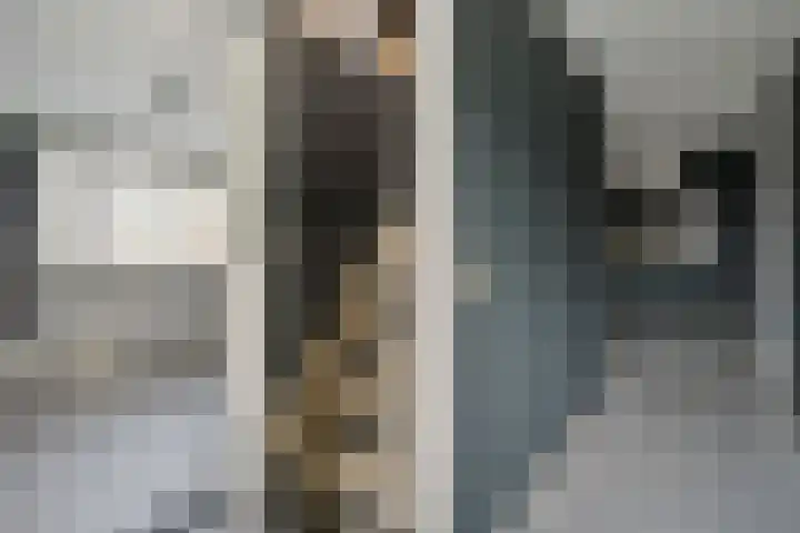 Nieuwe Deventerweg 25 Raalte thumbnail 31