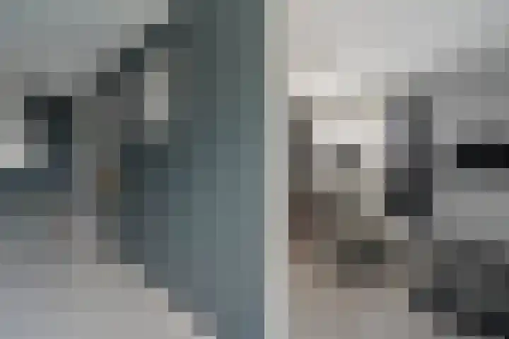 Nieuwe Deventerweg 25 Raalte thumbnail 32