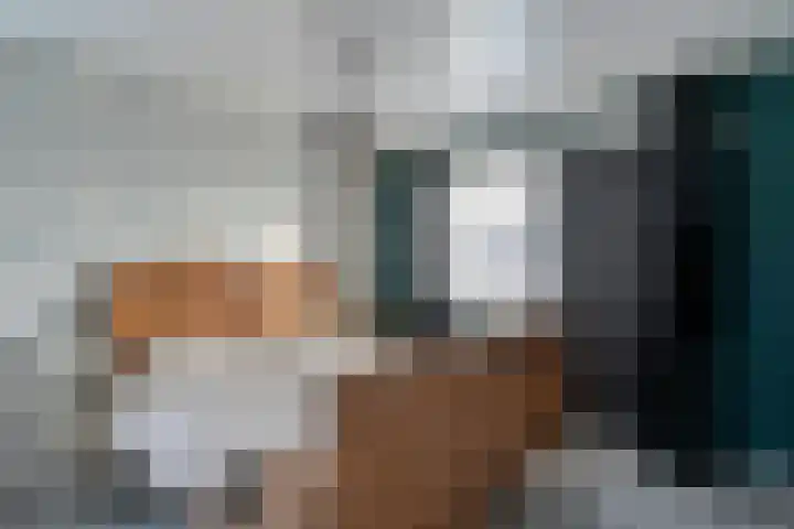Nieuwe Deventerweg 25 Raalte thumbnail 33