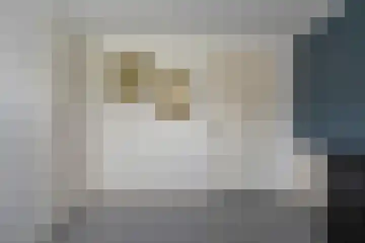 Nieuwe Deventerweg 25 Raalte thumbnail 36