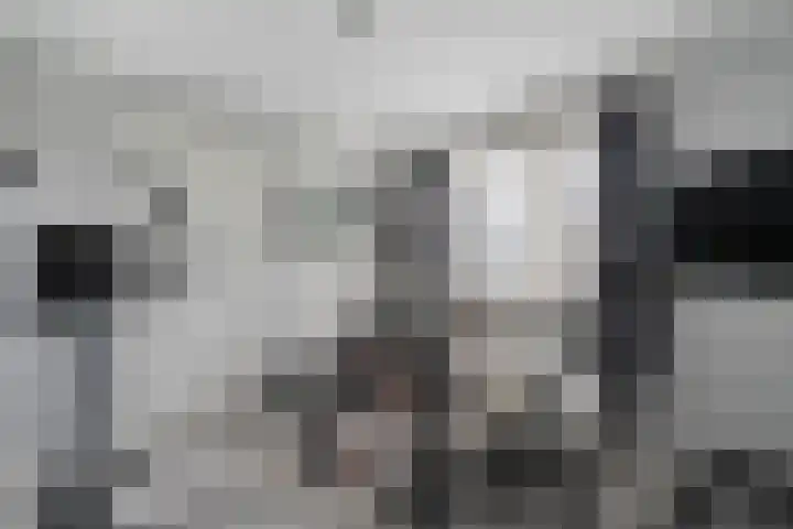Nieuwe Deventerweg 25 Raalte thumbnail 37