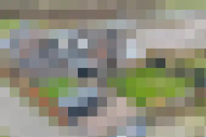 Nieuwe Deventerweg 25 Raalte thumbnail 43