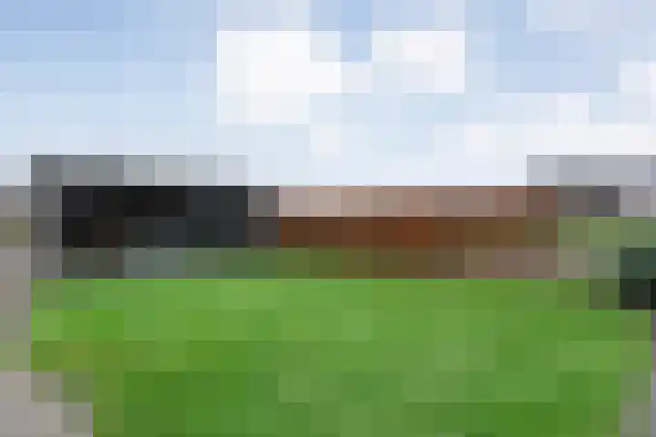 Nieuwe Deventerweg 25 Raalte thumbnail 45