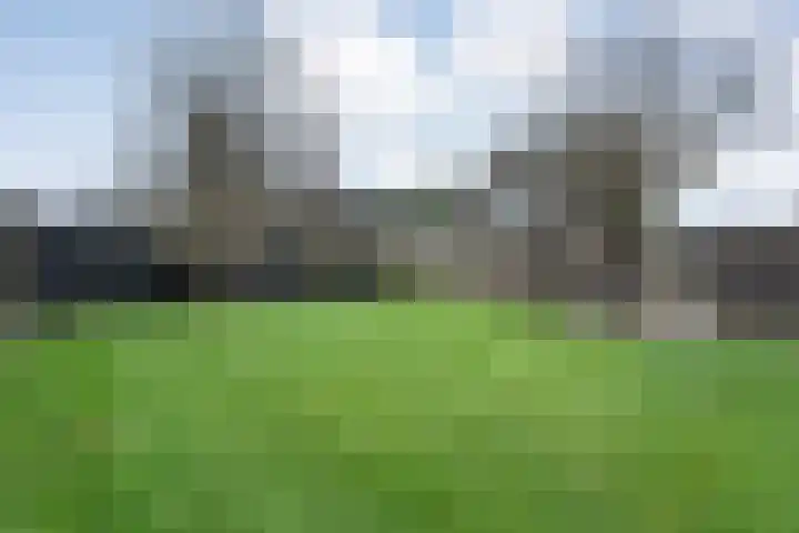Nieuwe Deventerweg 25 Raalte thumbnail 46