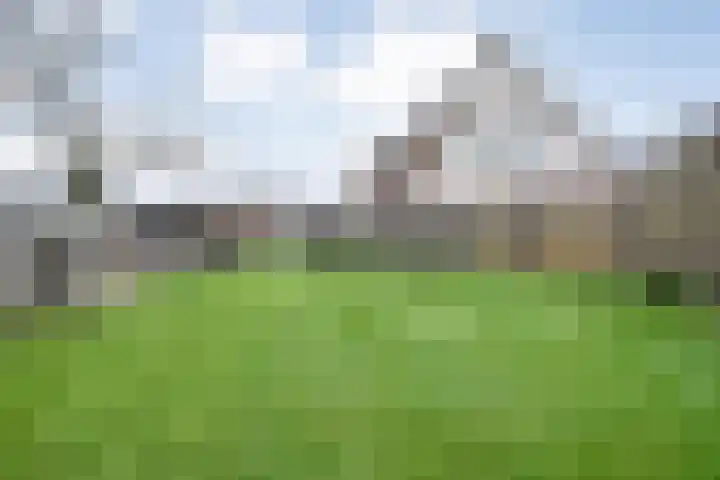 Nieuwe Deventerweg 25 Raalte thumbnail 47