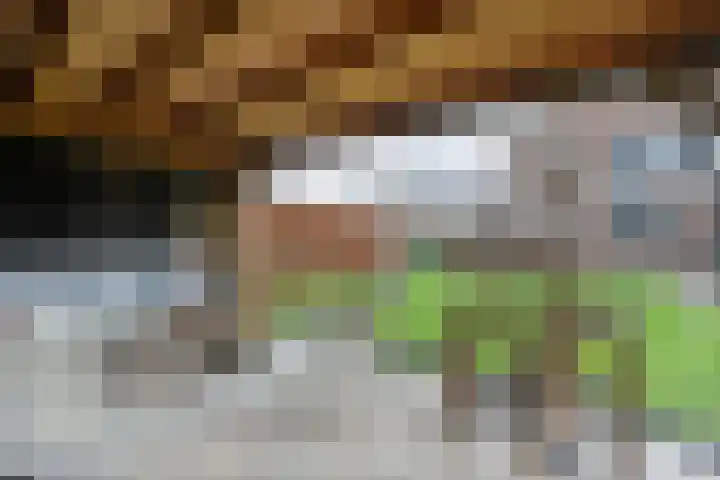 Nieuwe Deventerweg 25 Raalte thumbnail 51