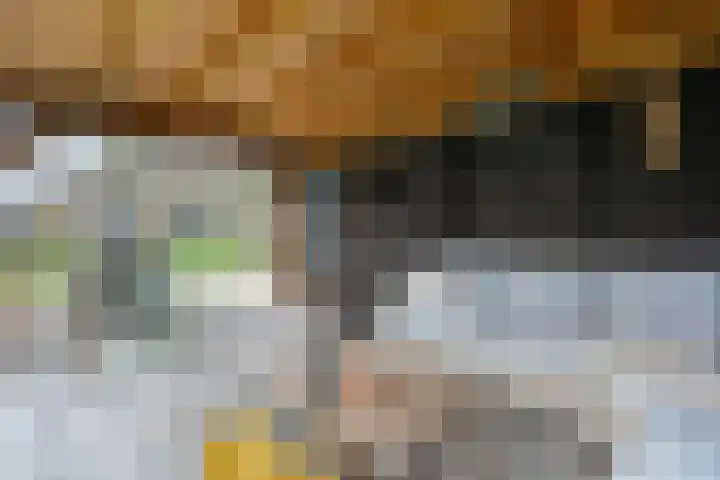 Nieuwe Deventerweg 25 Raalte thumbnail 52