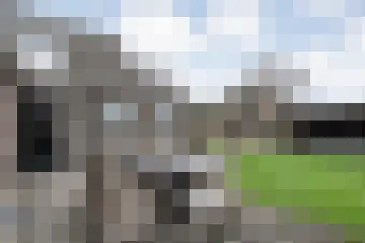 Nieuwe Deventerweg 25 Raalte thumbnail 54