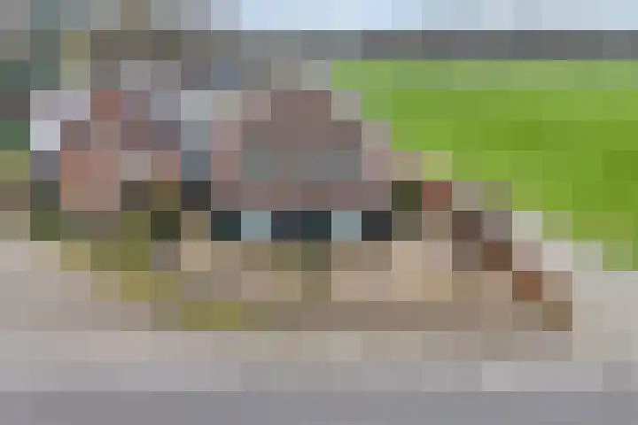 Nieuwe Deventerweg 25 Raalte thumbnail 57