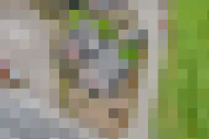 Nieuwe Deventerweg 25 Raalte thumbnail 59
