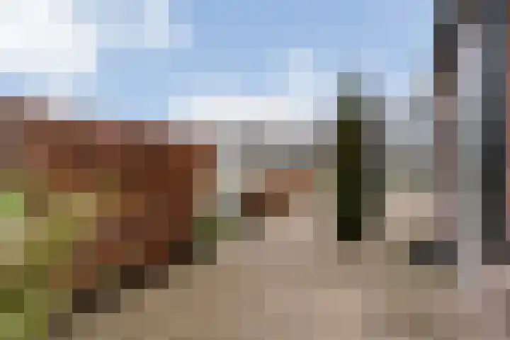 Nieuwe Deventerweg 25 Raalte thumbnail 6