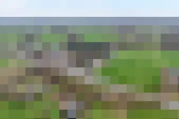 Nieuwe Deventerweg 25 Raalte thumbnail 60