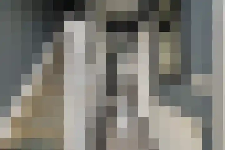 Nieuwe Deventerweg 25 Raalte thumbnail 8